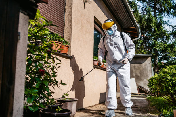 Best Insect Control  in Long Branch, VA