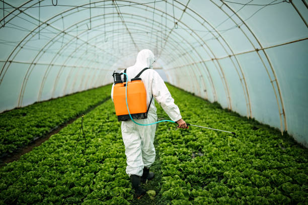 Best Residential Pest Control  in Long Branch, VA