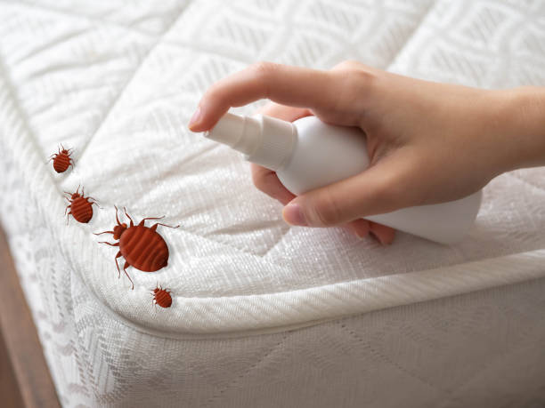 Pest Prevention Services in Long Branch, VA