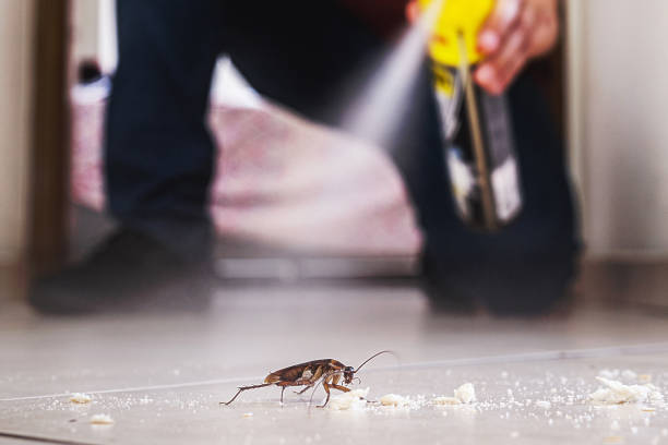 Best Best Pest Control Companies  in Long Branch, VA