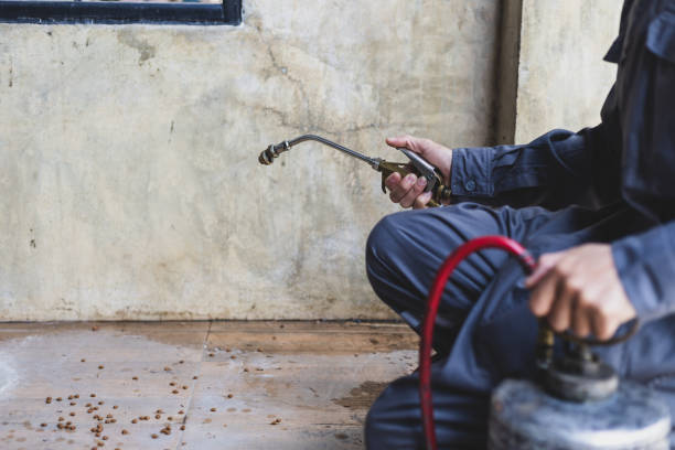 Best Best Pest Control Companies  in Long Branch, VA