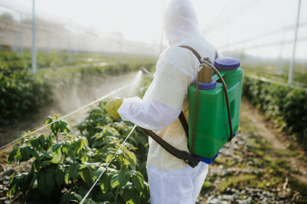 Best Pest Inspection Near Me  in Long Branch, VA